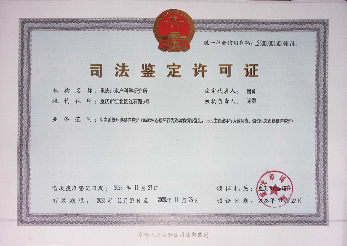 1706165229525461.png 1706165229525461.png